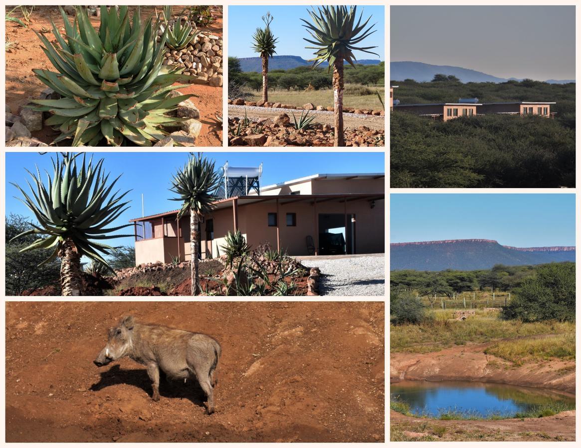 Cheetah View Lodge Otjiwarongo Exterior photo